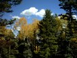 Enlarge photo 58