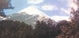 Enlarge photo 1