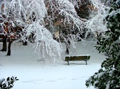 Winter in VA