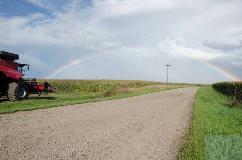 Rainbow.jpg