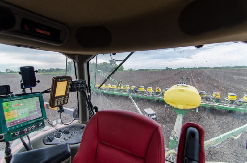 Replant13-1-4%20_Large_.JPG