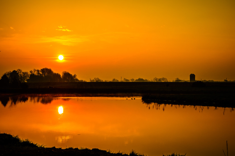 redpond-1.JPG