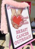 LOH Breast Cancer run