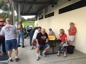 Manatee Springs - Chapter Picnic