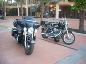Christmas Light Ride & Dessert Social