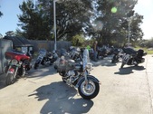 New Smyrna Hog Keynote ride
