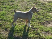 Enlarge photo 16