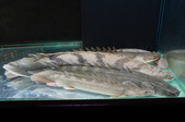 Enlarge photo 42