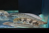 Enlarge photo 45