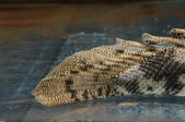 Enlarge photo 94