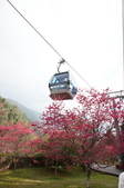 20150215九族文化村