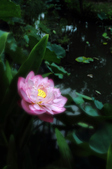 20150706海口國小