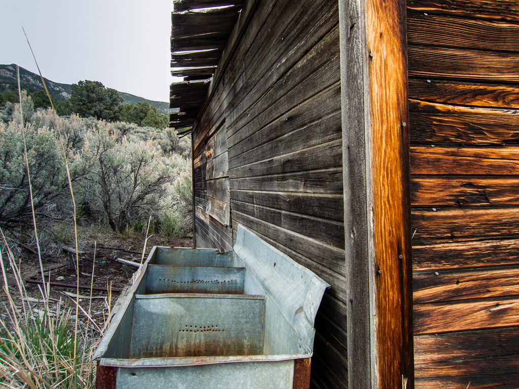 Old miners cabin at Tungstonia