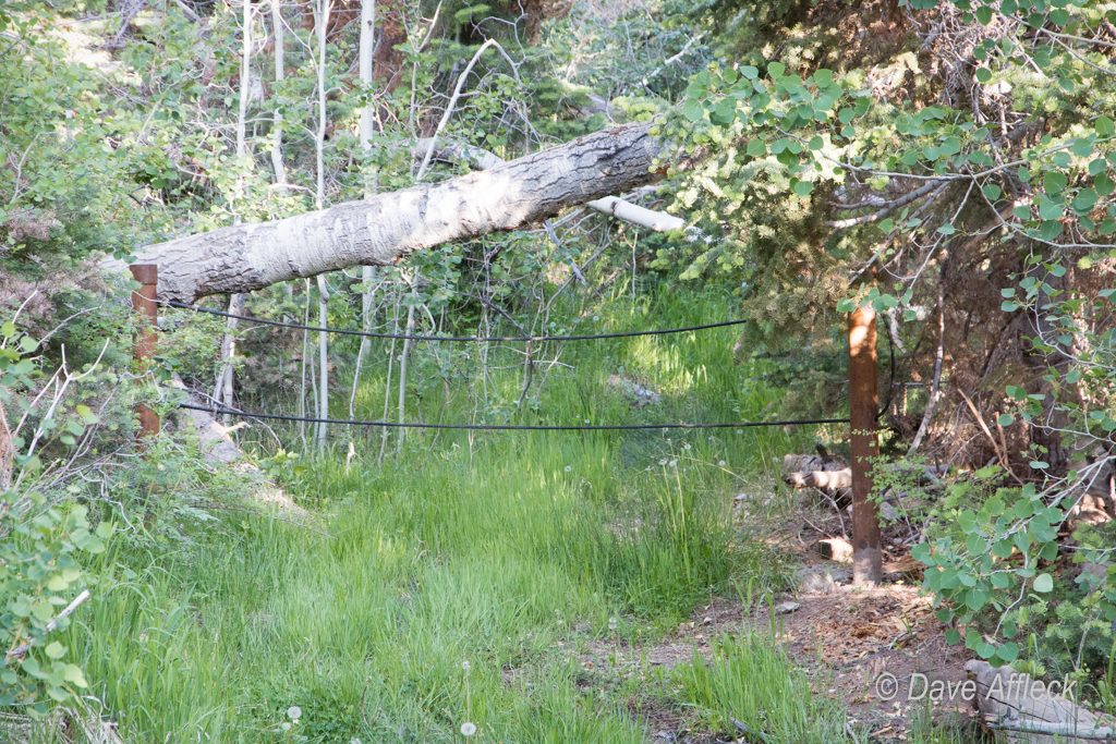 Barrier still in place blocking access to Camp Ethel