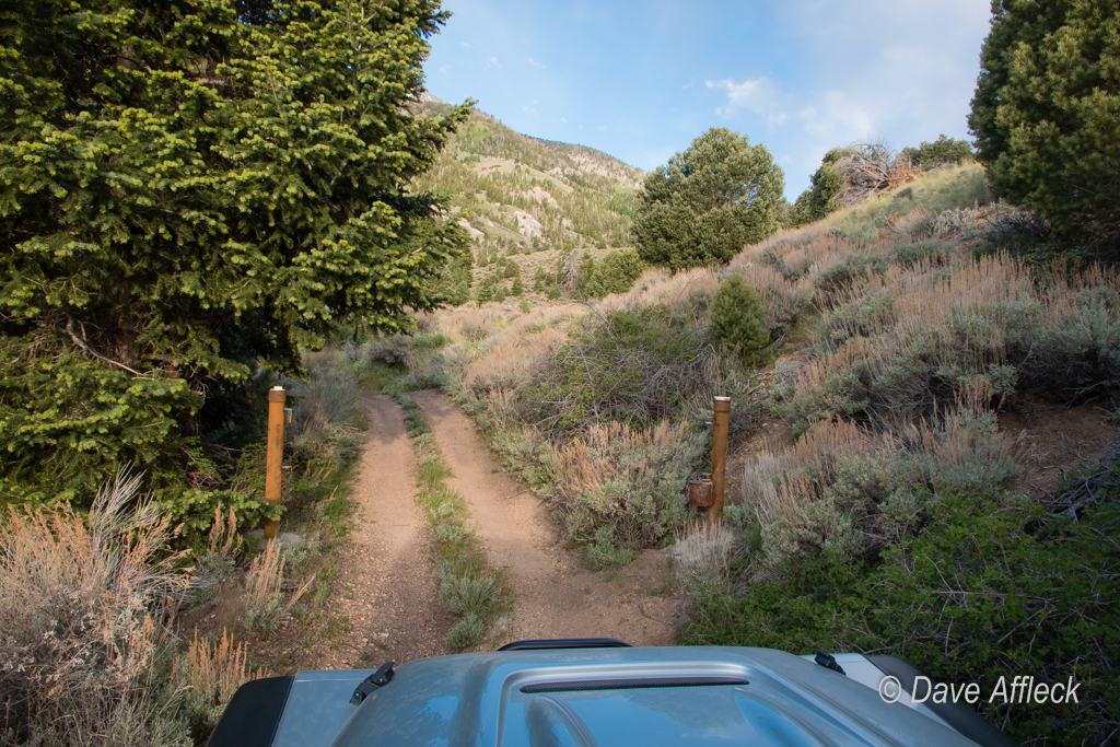 Newly re-opened WSA boundary gate in Tom's Canyon