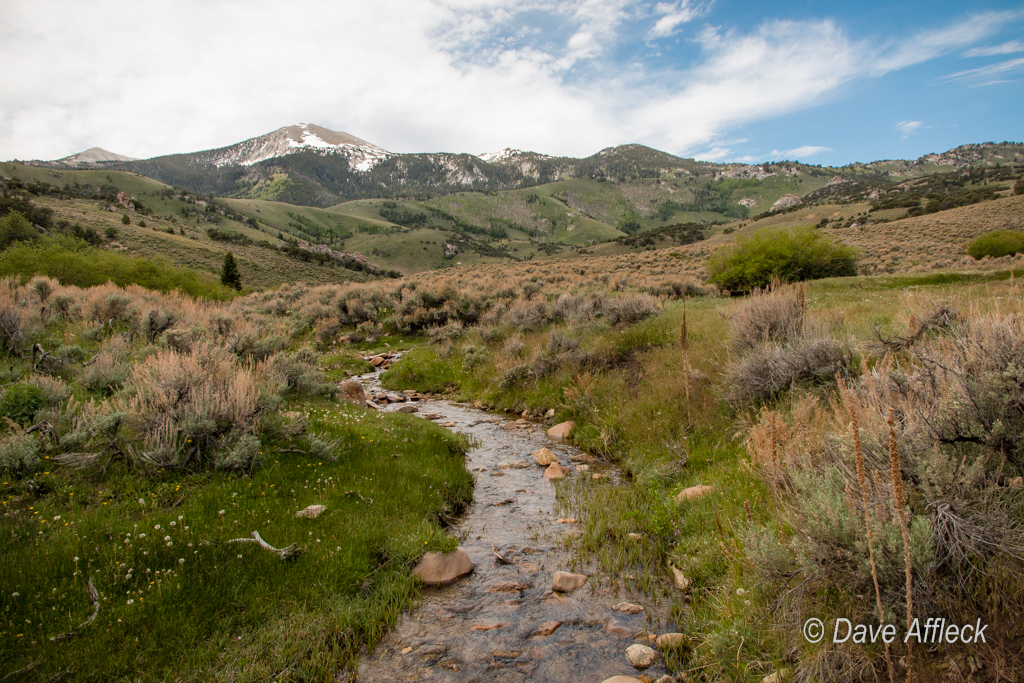 Stream in Scott's Basin