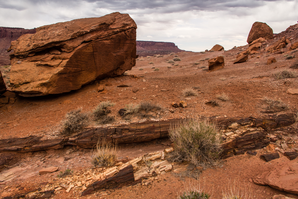 20130407_Happy%20Canyon_Hiking-100W.jpg