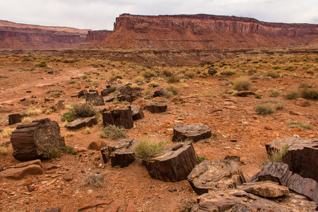 20130407_Happy%20Canyon_Hiking-113W.jpg