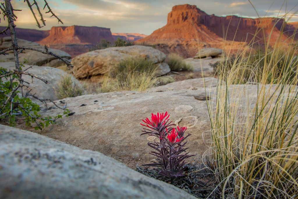 20130407_Happy%20Canyon_Hiking-41W.jpg