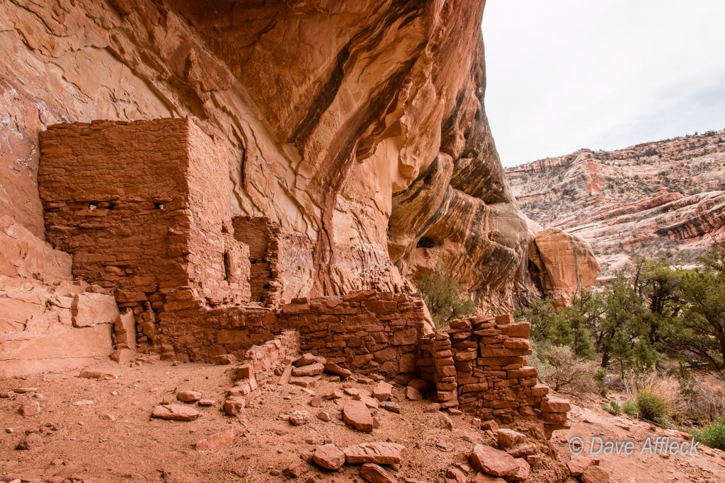 20140410_Grand%20Gulch_Hiking-Ruins-173W.jpg