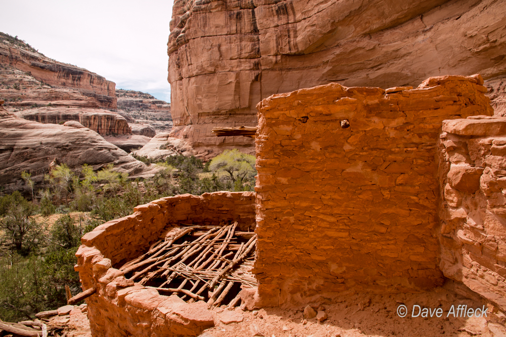 20140410_Grand%20Gulch_Hiking-Ruins-204W.jpg