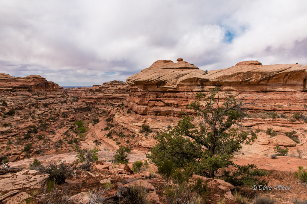 20140410_Grand%20Gulch_Hiking-Ruins-248W.jpg