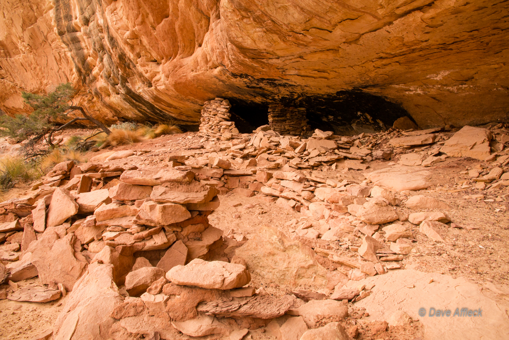 20140410_Grand%20Gulch_Hiking-Ruins-413W.jpg