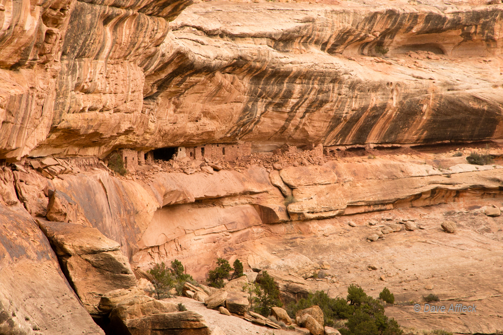 20140410_Grand%20Gulch_Hiking-Ruins-416W.jpg