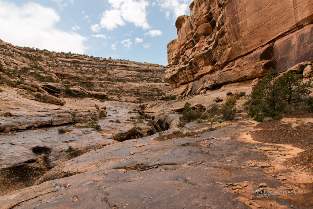 20140410_Grand%20Gulch_Hiking-Ruins-479W.jpg