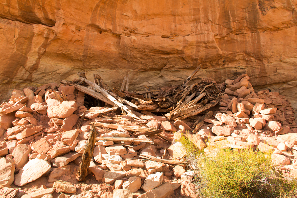 Remains of Kiva in Lime Canyon