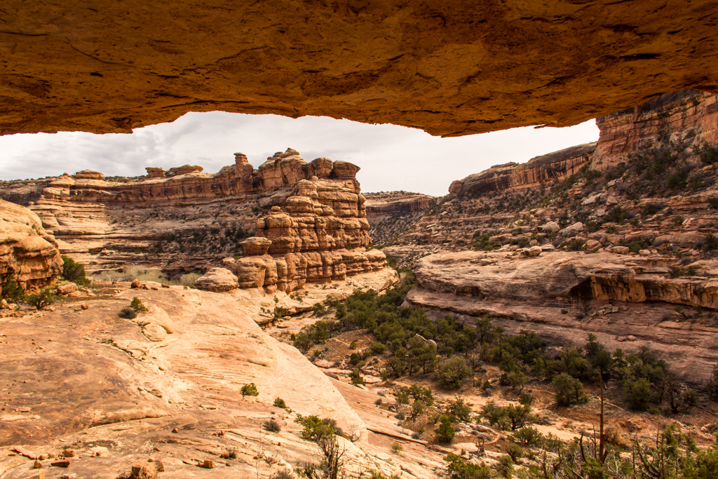 View of Slickhorn Canyon from within granary alcove