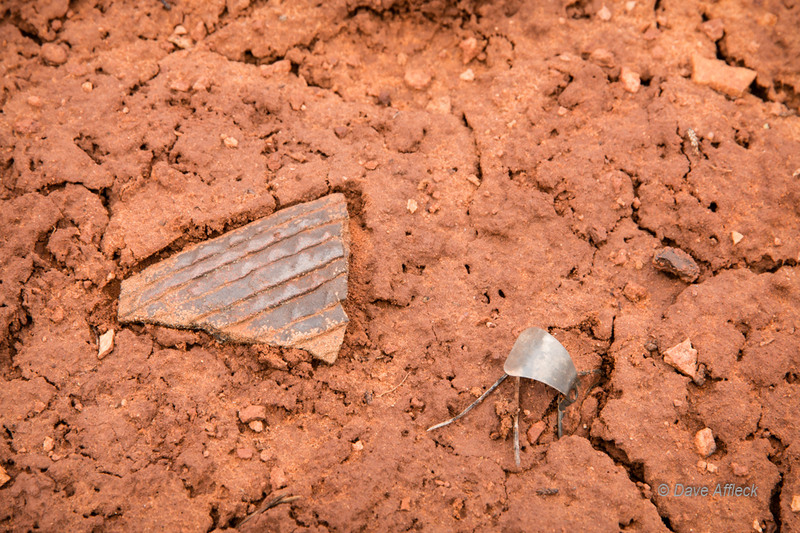 Potsherd and pull tab laying together on forest floor