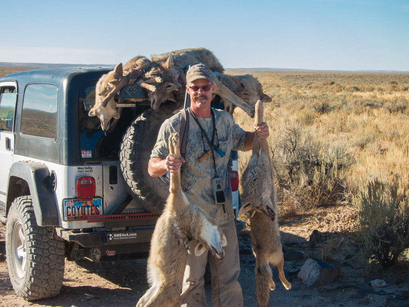 Typical shotgun coyote terrain in background