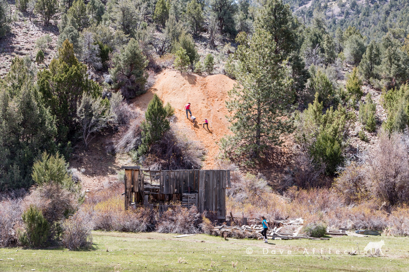 Mine dump and old building, Revenue Mine