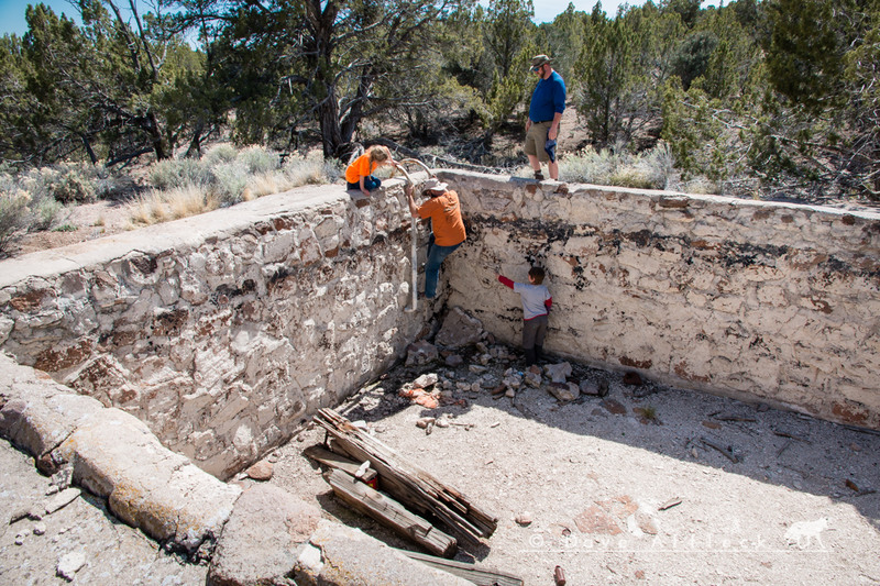 CCC camp swimming pool