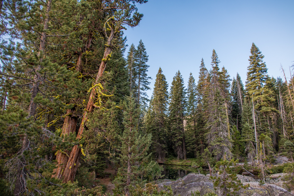 20140817_Rubicon%20Trail_Jeeping-217W.jpg