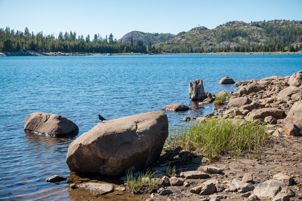 20140817_Rubicon%20Trail_Jeeping-65W.jpg