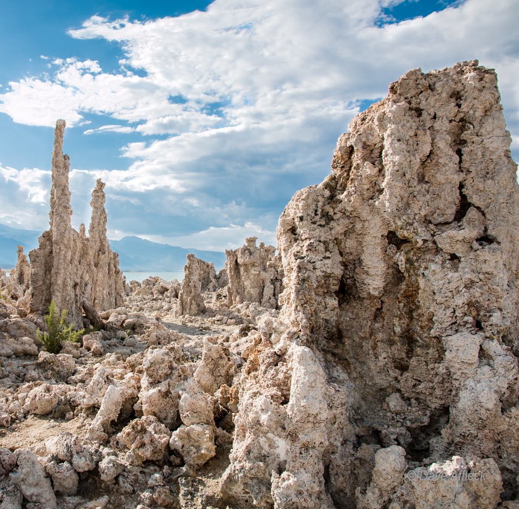 20140820_Mono%20Lake-32WC.jpg