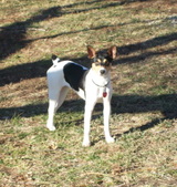 Ava x Rueger 07/29/2012