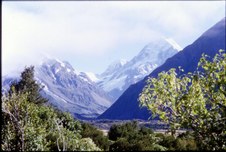Enlarge photo 37