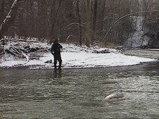 Enlarge photo 49