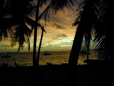Enlarge photo 54