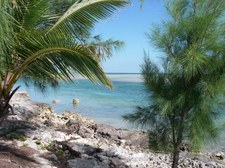 Enlarge photo 28