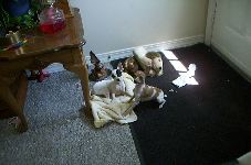Enlarge photo 4