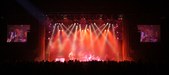 Enlarge photo 62