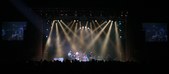 Enlarge photo 65