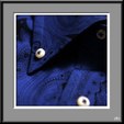 Enlarge photo 75