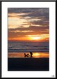 Enlarge photo 62