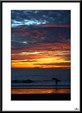Enlarge photo 61