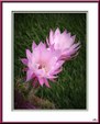 Enlarge photo 69